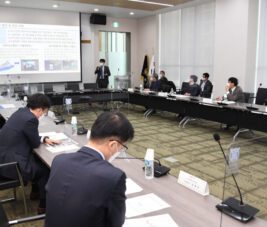 GGFEZ signed an MOU on November 11th